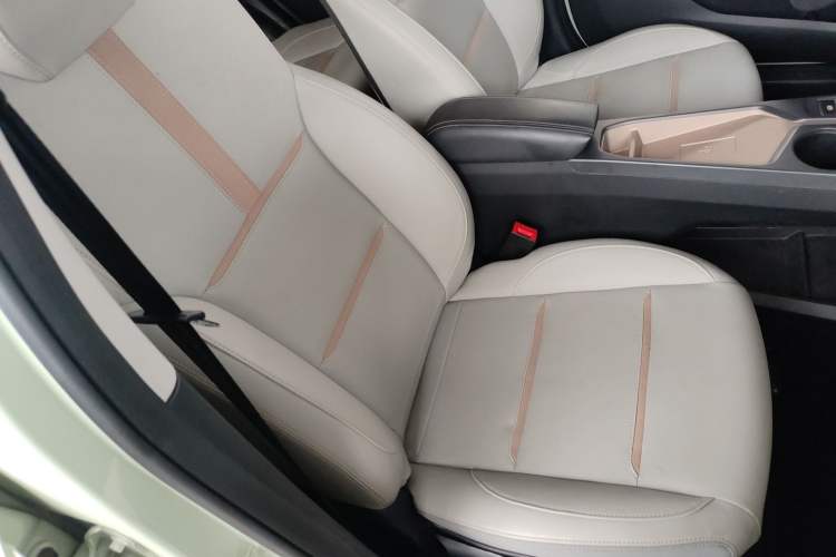 Used SOL E10X 2022 Flower Fairy Design Four-Leaf Clover
