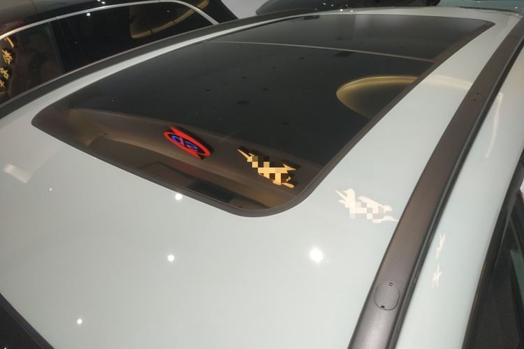 Used  Shanhai L6 2024 1.5TD DHT ULTRA
