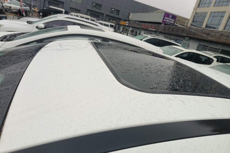 Used Ford Focus 2017 Sedan 1.6L Automatic Fashion Edition Smart Drive Version