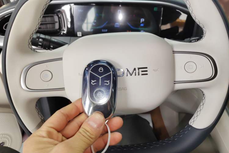 Used  Geome 2025 310km Dream Edition
