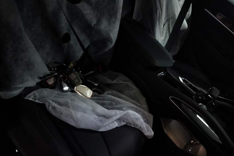 Used Geely Auto Monjaro L 2024 2.0TD DCT EVO Two-Wheel Drive Long-Range Version
