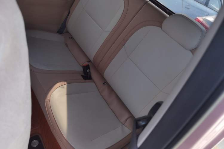 Used  Panda 2024 Panda Mini 200km Endurance Bear