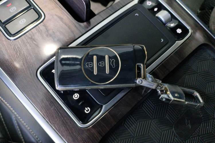 Used  Lanyue 2021 390T Two-Wheel Drive StarRui Edition