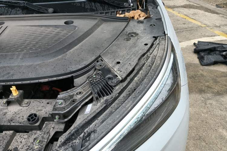 Used BYD Yuan PLUS 2025 Intelligent Driving Version 510 KM Beyond-Grade Edition
