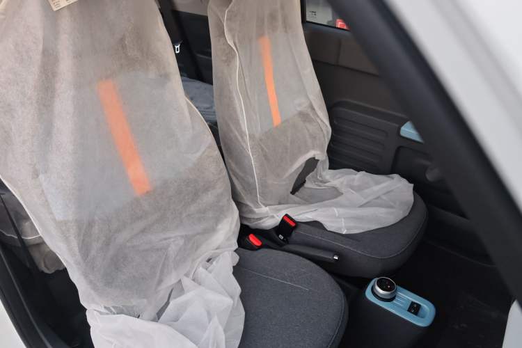 Used  Panda 2024 Panda Mini 200km Endurance Bear