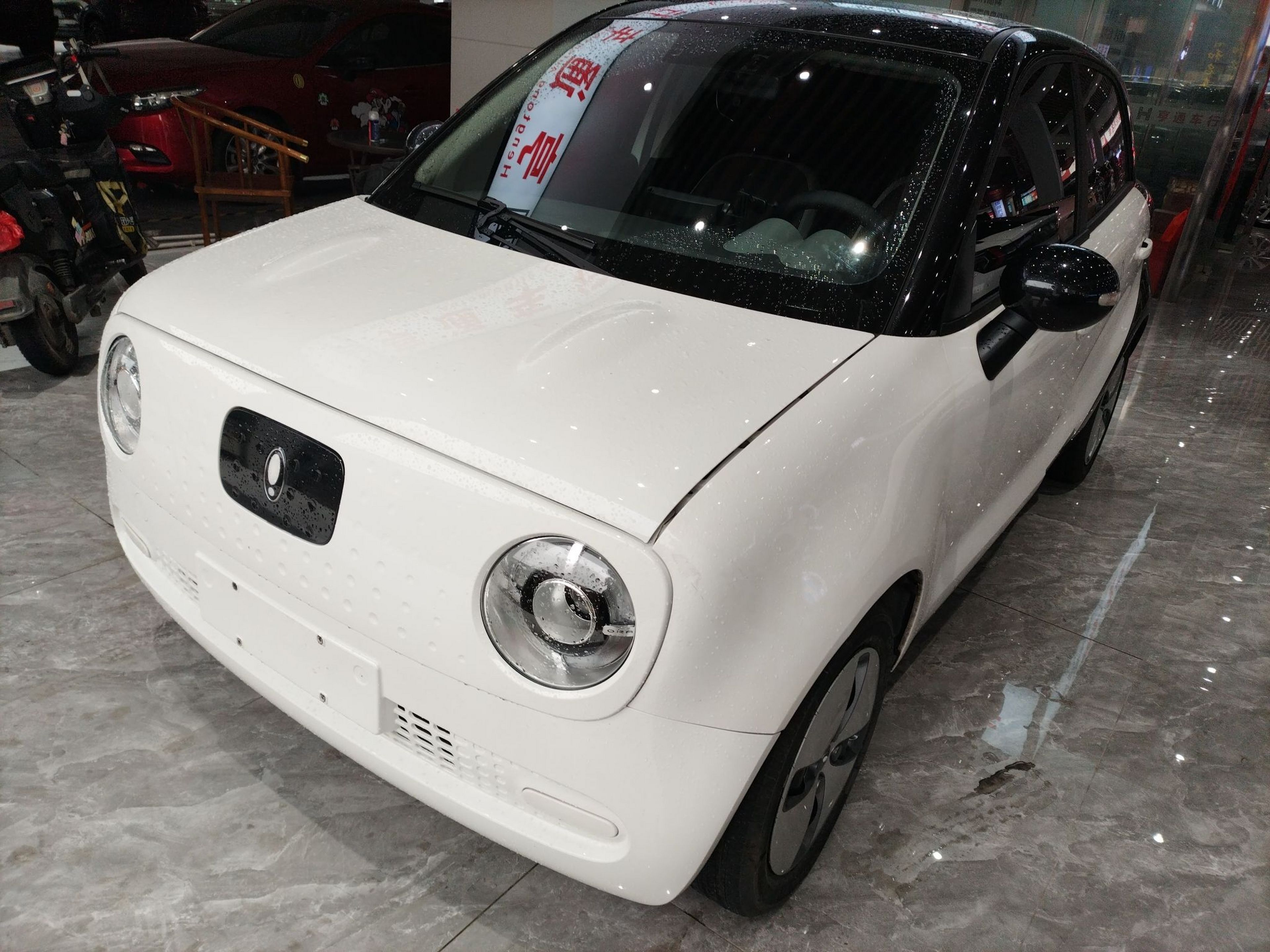 تحت مقدمة السيارة