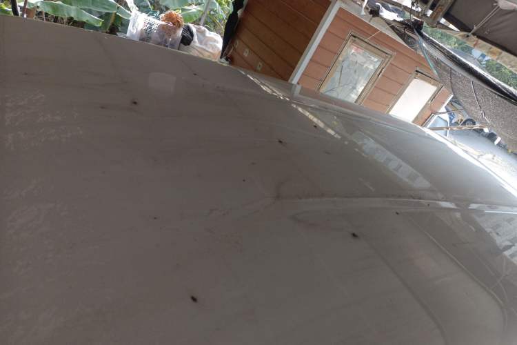 Used FORTHING Lingzhi M5 2019 Comfort Model 7 Seats