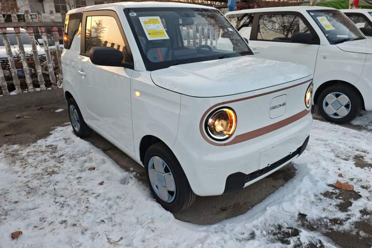 Used  Panda 2024 Panda Mini 200km Endurance Bear