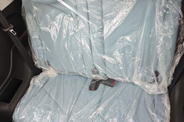 Used Chery Little Ant 2024 251km True Love Edition