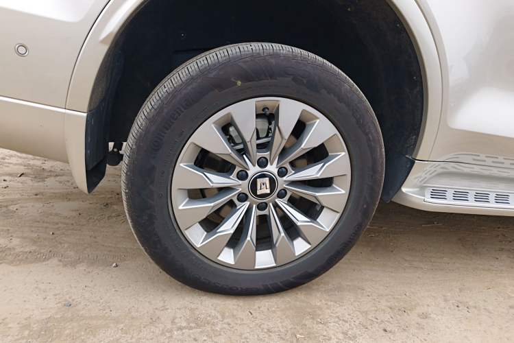 Used Tank 500 New Energy 2025 Hi4-Z
