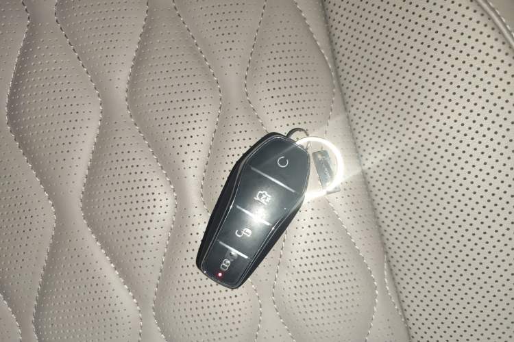 Used BYD Tang New Energy 2025 Intelligent Driving Version DM-i 115KM Flagship Edition
