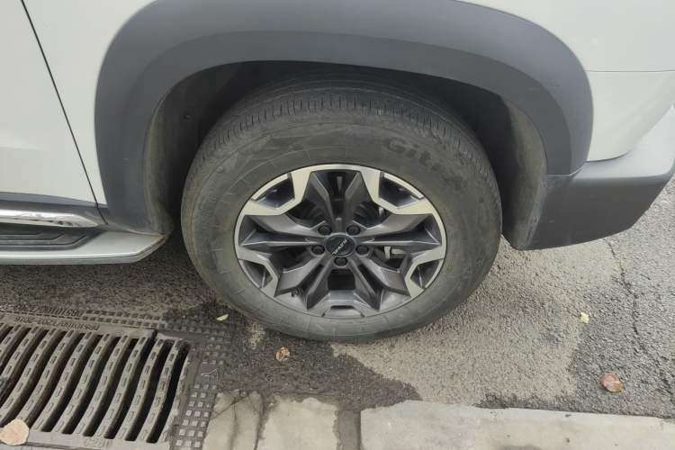 Used Haval DARGO 2021 2.0T DCT 4x4 Chinese Rural Dog Edition
