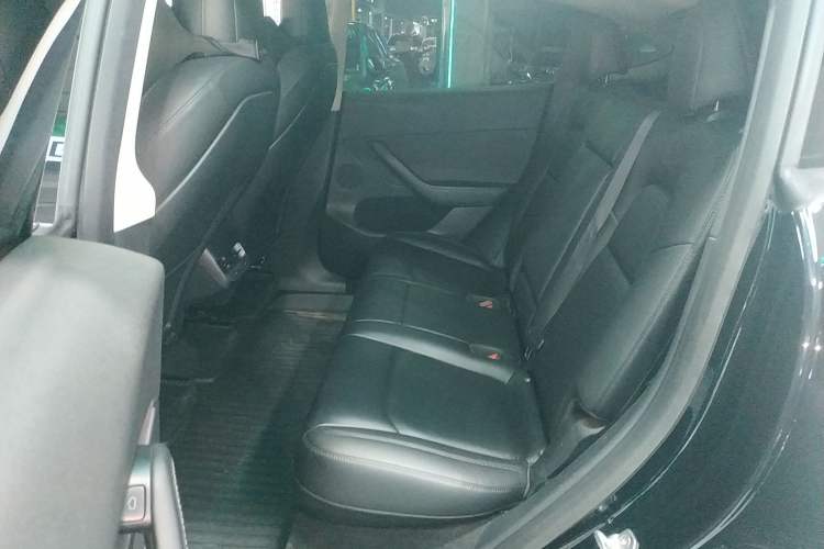 Used Tesla Model Y 2021 Standard Range Rear-Wheel Drive Version
