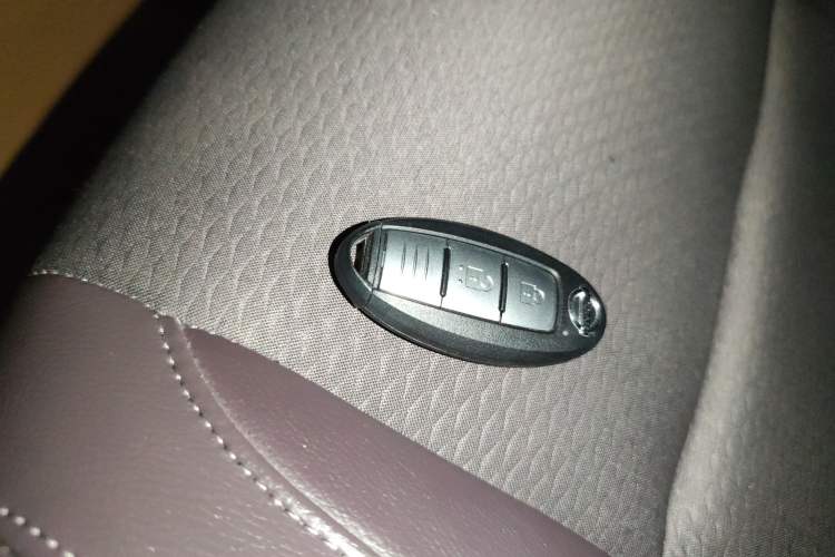 Used Nissan Qashqai 2019 2.0L CVT Luxury Edition
