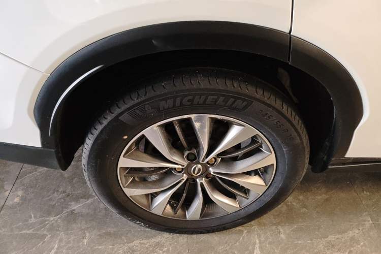 Used GAC Trumpchi GS8 2017 320T Two-Wheel Drive Luxury Smart Connectivity Version (7 Seats)
