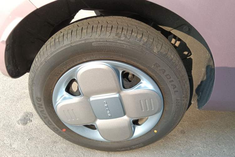 Used  Panda 2023 Panda Mini 200km Endurance Bear
