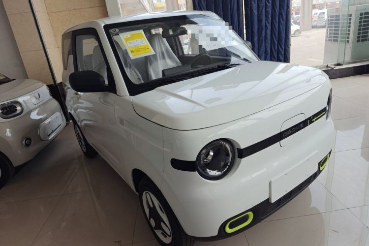 Used  Panda 2025 210 km – Yuanqi Bear
