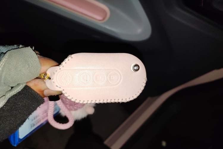 Used Wuling Hongguang MINIEV 2022 Macaron Fashion Model Lithium Iron Phosphate
