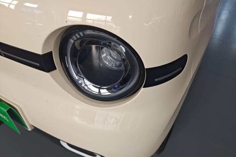 Used  Panda 2025 210 km – Yuanqi Bear