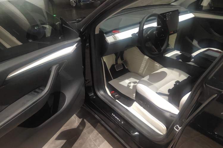 Used Tesla Model Y 2021 Standard Range Rear-Wheel Drive Version
