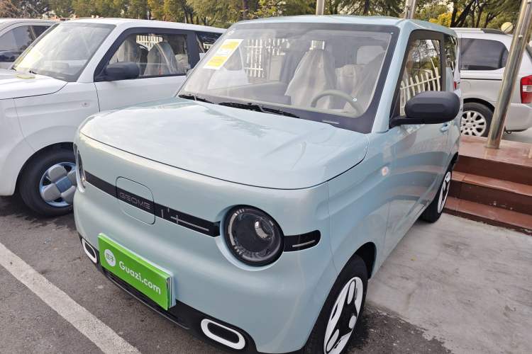 Used  Panda 2025 210 km – Yuanqi Bear
