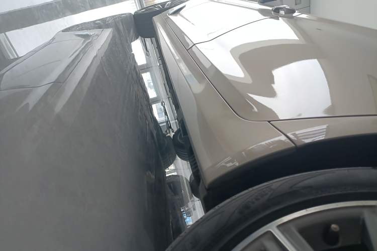 Used BMW 5 Series 2018 528Li Launch Special Edition
