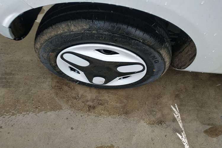 Used  Panda 2025 210 km – Yuanqi Bear
