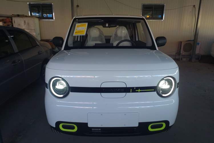 Used  Panda 2025 210 km – Yuanqi Bear
