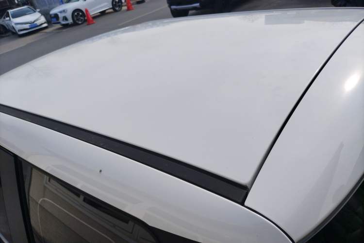 Used  Lumin 2025 205 km Xiangqin Version
