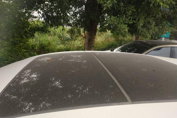 Used Honda Vezel 2020 1.5L CVT Luxury Edition
