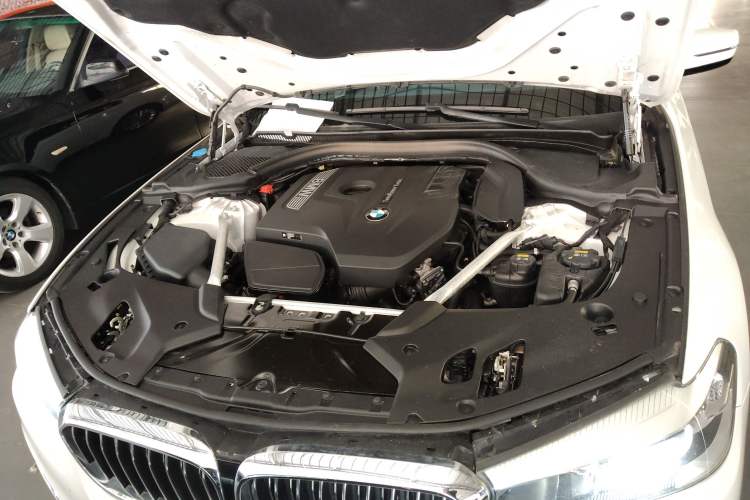 Used BMW 5 Series 2019 Facelifted 530Li Leading Edition Luxury Package
