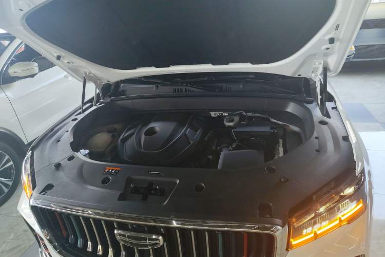 Used Geely Auto Monjaro L 2021 2.0TD DCT EVO Two-Wheel Drive Smart Luxury Version
