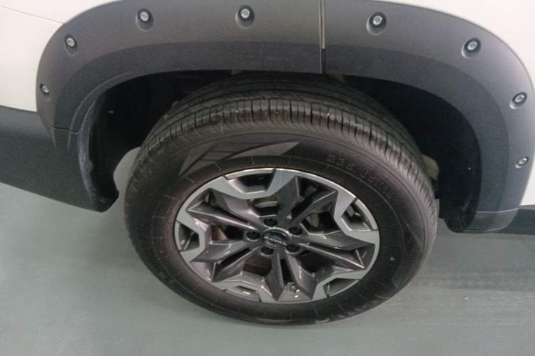 Used Haval DARGO 2024 2.0T DCT Chinese Rural Dog Edition
