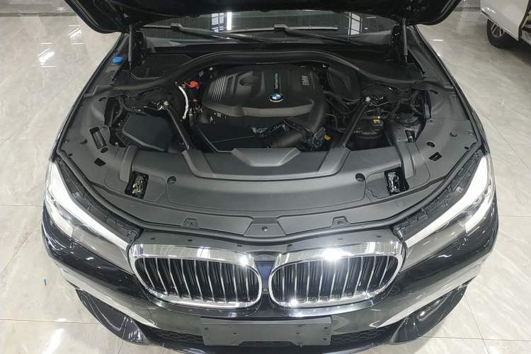 Used BMW 7 Series 2018 730Li Leading Model M Sport Package