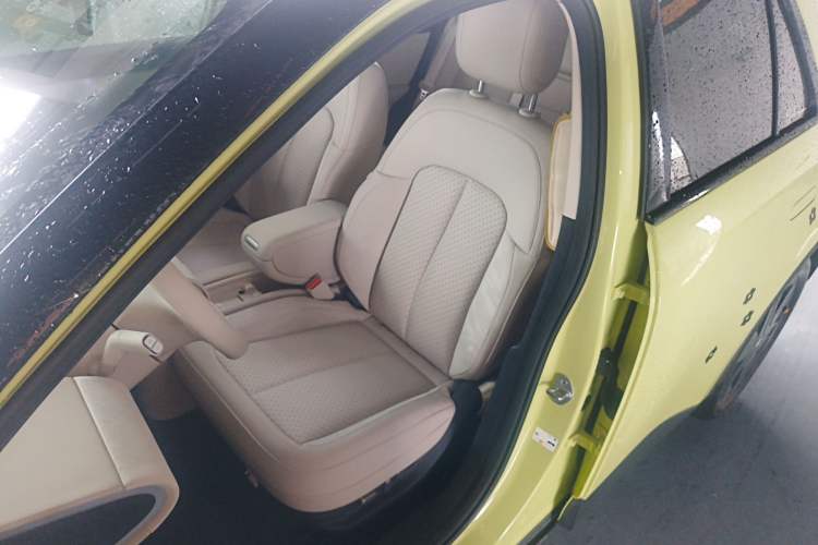 Used firefly firefly 2025 Illuminated Edition
