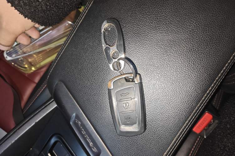 Used FORTHING T5 2020 1.5T Automatic Luxury Model China VI Standard