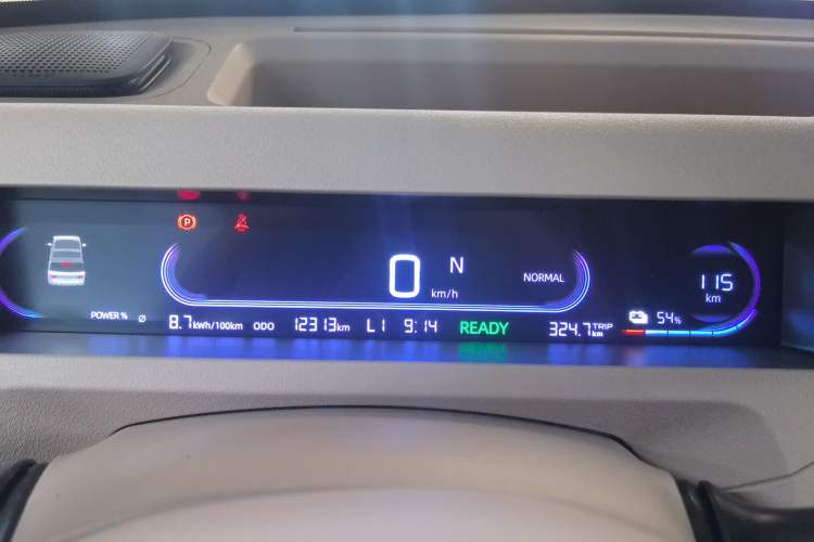 Used  Panda 2024 Panda Mini 200km Endurance Bear
