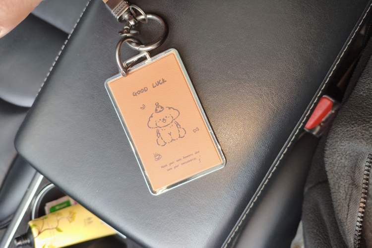 Used Tesla Model 3 2020 Standard Range Rear-Wheel Drive Upgraded Version