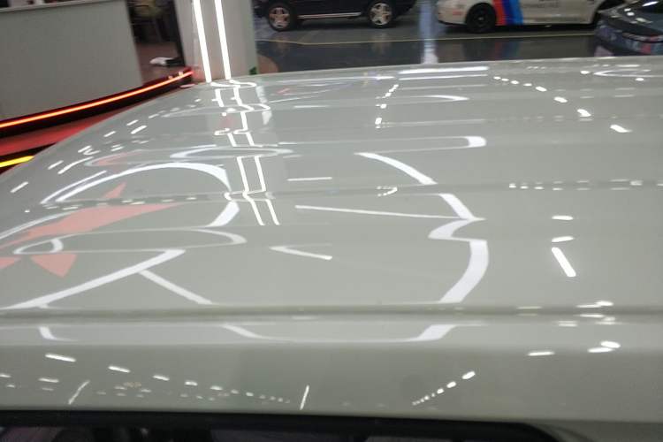 Used  Panda 2023 Panda Mini 200km Endurance Bear
