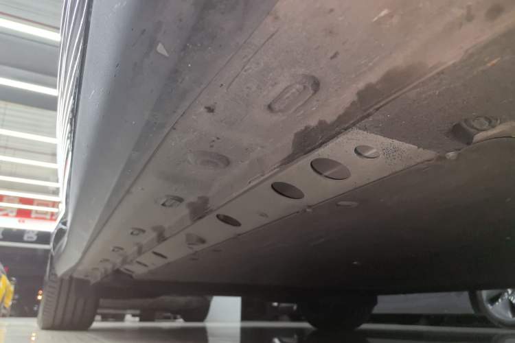 Used  LS6 2023 Max Long-Range Version
