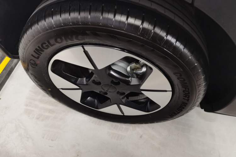 Used  Geome 2025 310km Dream Edition