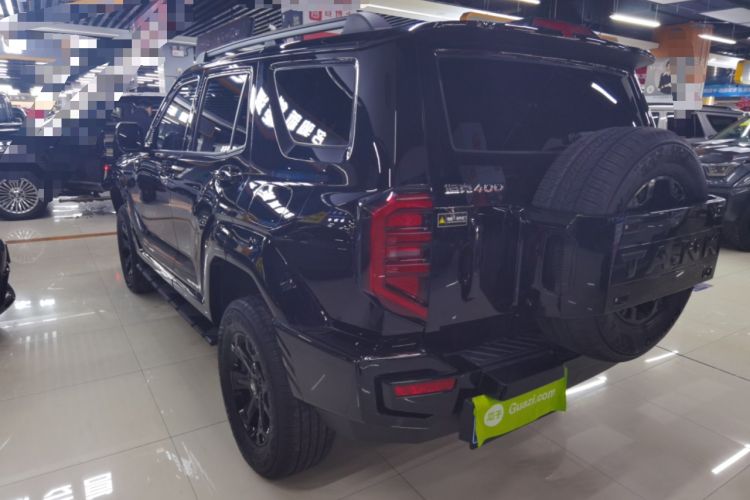 Used Tank 400 2025 2.0T Gasoline Version