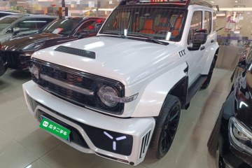 Used Cyberspace Tank 300 2023 2.0T Cyber Knight