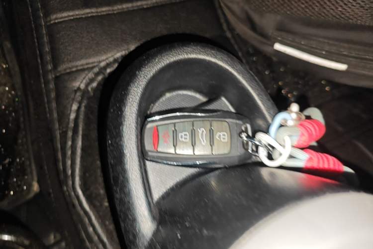 Used ORA Black Cat 2021 301 km Basic Version