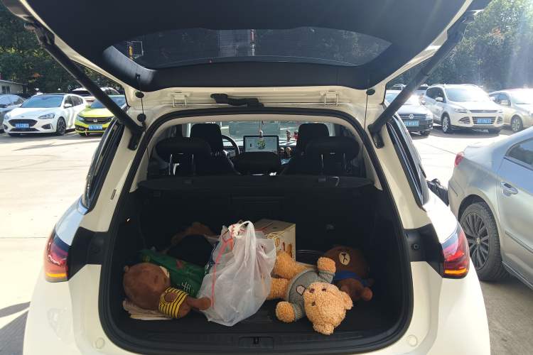 Used  #1 2023 Pro Edition
