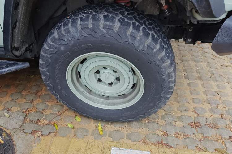 Used Tank 300 2021 2.0T Wind & Forest Iron Rider
