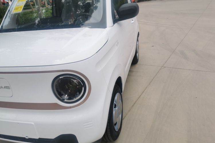 Used  Panda 2024 Panda Mini 200km Endurance Bear
