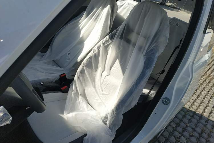 Used  Panda 2025 210 km – Yuanqi Bear
