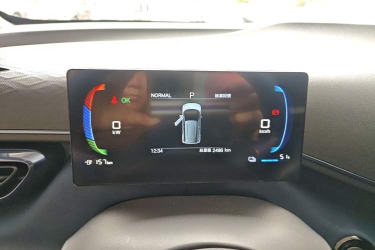 Used BYD Seagull 2025 305 km Free Version