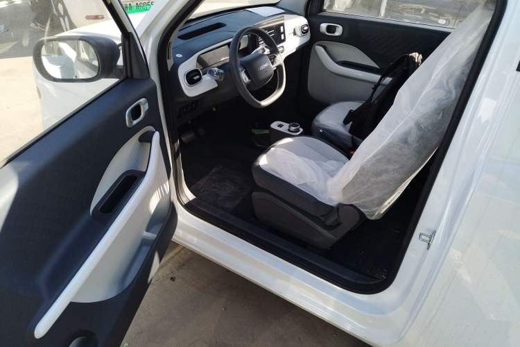 Used  Panda 2025 210 km – Yuanqi Bear